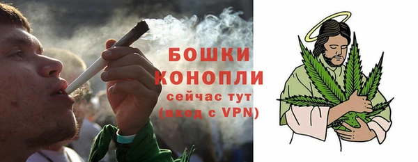 шишки Нягань