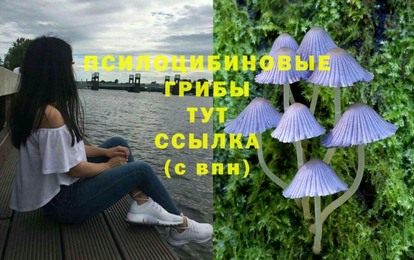 ALPHA-PVP Осинники