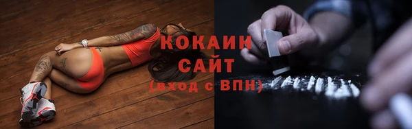 PSILOCYBIN Няндома