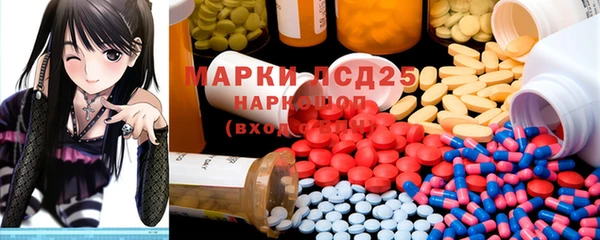 PSILOCYBIN Няндома