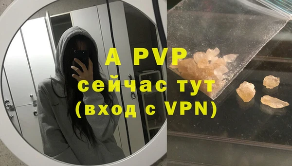 дмт Щигры