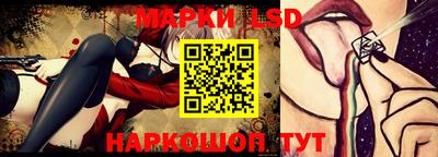 гидропоника Балашиха