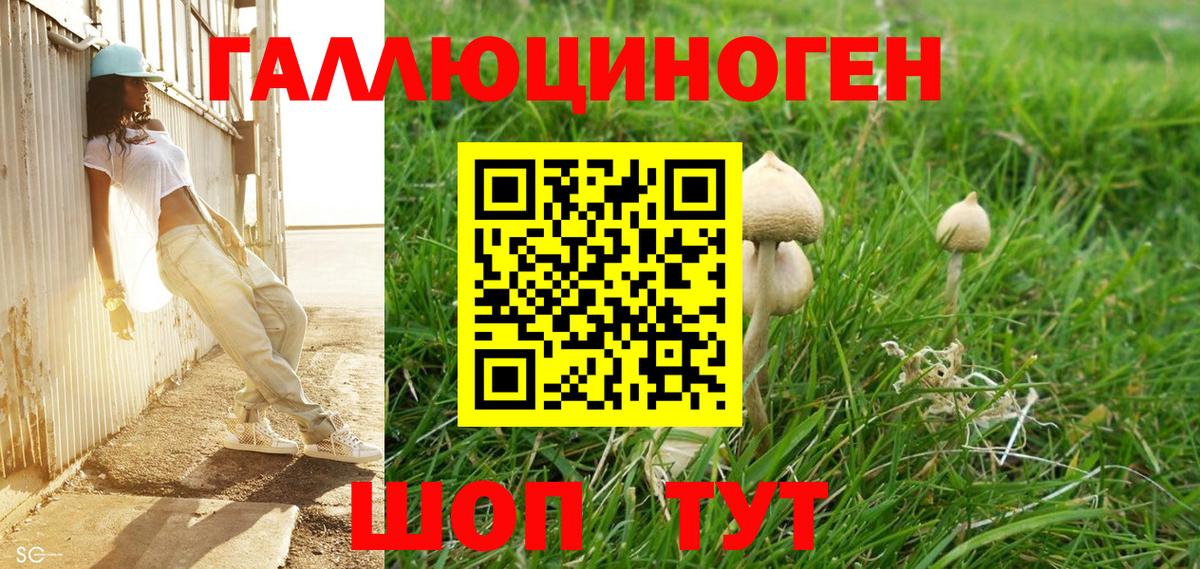 Псилоцибиновые грибы MAGIC MUSHROOMS Бахчисарай