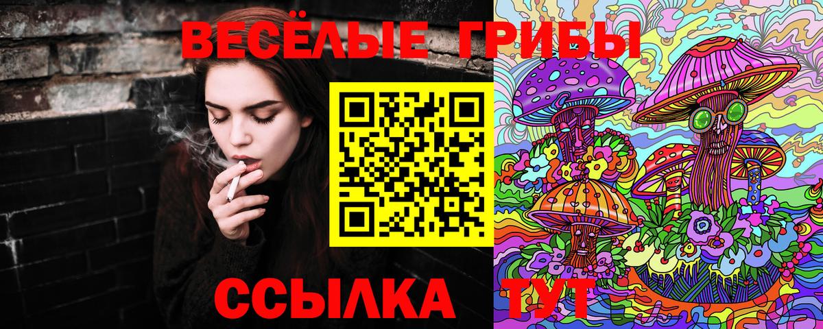 Галлюциногенные грибы прущие грибы  как найти   Бахчисарай 